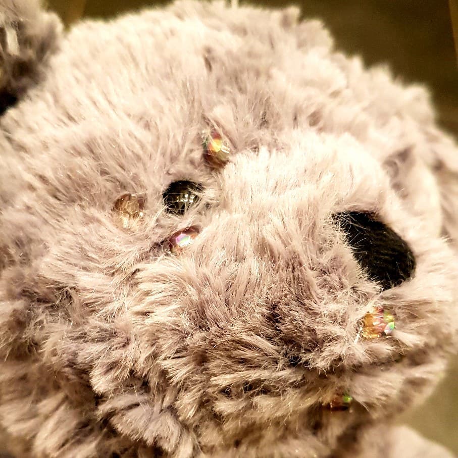 EFT Teddy EFT Teddy